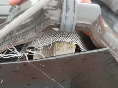 VIDEO: Místní šetření - Buštěhrad